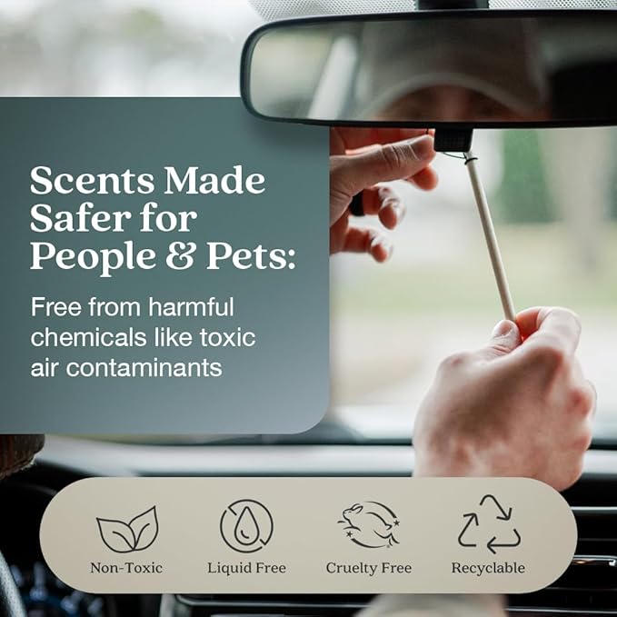 Enviroscent Non-Toxic* Car Air Freshener Auto Stix® - Scents Made Safer - Enjoy Fragrance Lasts Up to 480 Days - Includes Aut