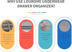 Lourome Underwear Organizer, 10 Set Foldable Fabric Underwear Drawer Organizer and Sock Organizer, Drawer Organizers for Clot