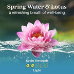 Enviroscent Non-Toxic* Car Air Freshener Auto Stix® - Scents Made Safer - Enjoy Fragrance Lasts Up to 480 Days - Includes Aut