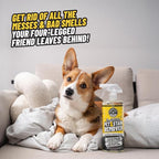 Chemical Guys Furbidden Pet Stain Remover for Car & Home, Carpet & Upholstery Cleaner, Eliminates Pet Odors & Stains from Uri