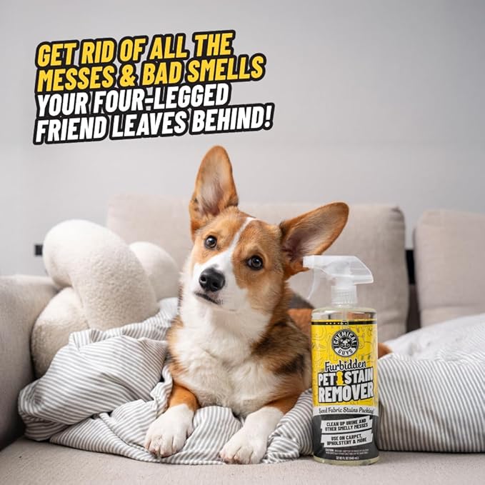 Chemical Guys Pet Mess Cleaning Kit, Furbidden Odor Eliminator 16 oz with Interior Detailing Brush Cleans, Pet Smells, Hair a