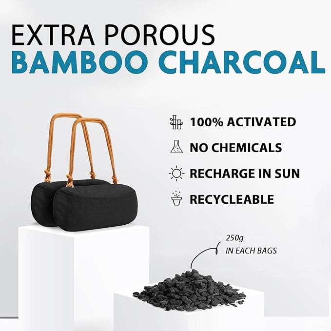 Timgle 2 Pack Car Air Freshener, Lasts 365+ Days, No Chemicals 100% Activated Bamboo Charcoal Fragrance, Free Deodorizer, Nat