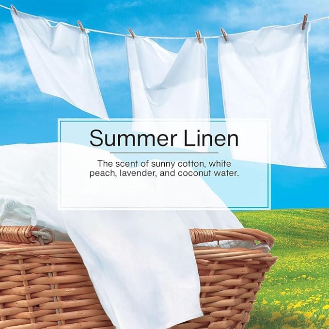 Little Trees Cardboard Hanging Car, Home & Office Air Freshener, Summer Linen (Pack of 24)