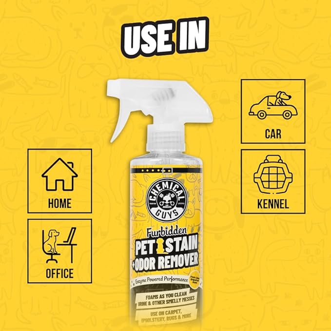 Chemical Guys Pet Mess Cleaning Kit, Furbidden Odor Eliminator 16 oz with Interior Detailing Brush Cleans, Pet Smells, Hair a