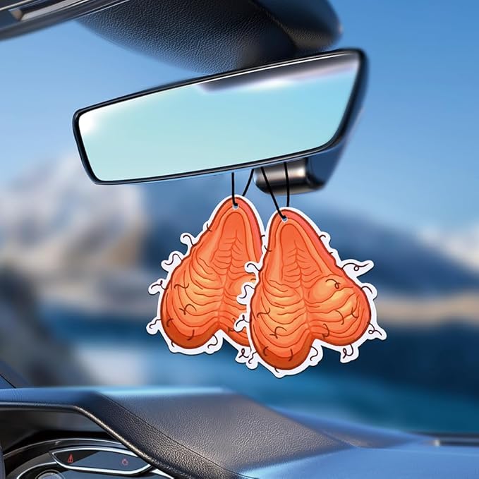 2PCS Car Air Fresheners Funny Car Present for Women Men Him Her Dad - Novelty Gift Car Interior Accessories Hanging Scents An