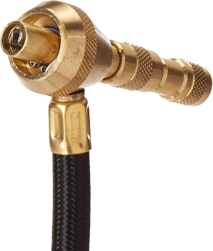 ARB510 ARB E-Z Digital Tire Deflator and Pressure Gauge with Storage Pouch Air Systems, PSI BAR Kpa Kgf