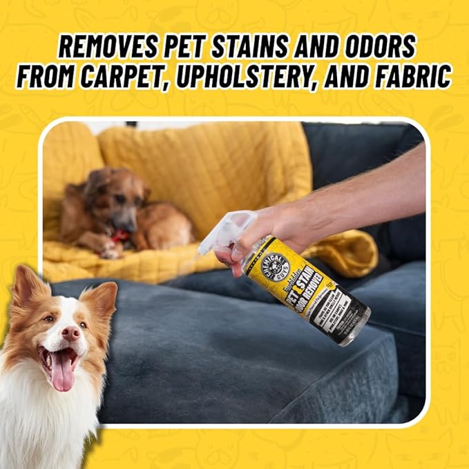 Chemical Guys Pet Mess Cleaning Kit, Furbidden Odor Eliminator 16 oz with Interior Detailing Brush Cleans, Pet Smells, Hair a