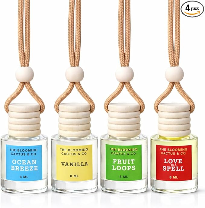 4 Pack Air fresheners | Long lasting car air fresheners, Hand-made in USA | Small room diffuser | Small Business Woman Owned.