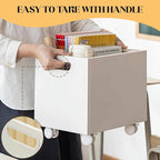 CINPIUK Rolling File Organizer with Wheels, Stackable Storage File Boxes, Portable Letter/Legal Size File Folder Box Book Box