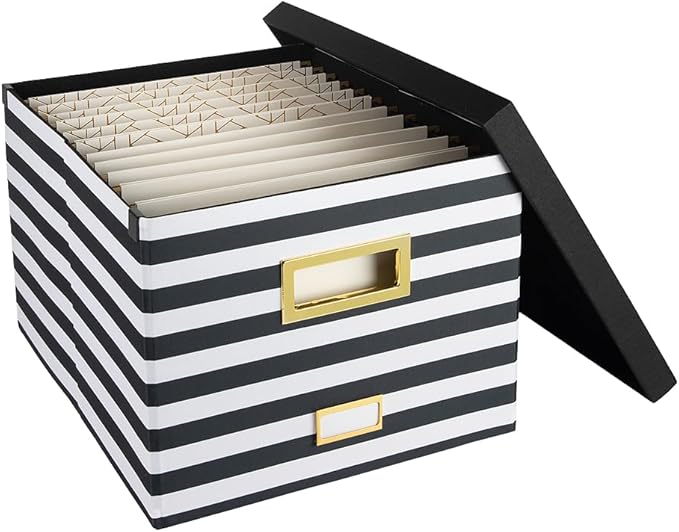 BLU MONACO | Decorative Hanging File Box with Lid | File Bins with Lids for Desk Storage | Desktop Hanging File Organizer for