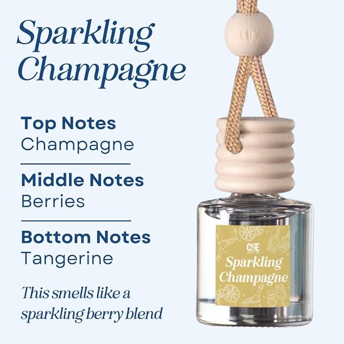 C&E Craft Co Hanging Car Air Freshener Diffuser 2 Pack, Long Lasting Fragrance Oil Car Freshener, Glass Bottle Auto Air Fresh