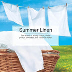 Little Trees Cardboard Hanging Car, Home & Office Air Freshener, Summer Linen (Pack of 12)