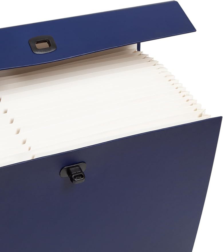 Smead Portable Expanding File Box, 19 Pockets, Blank Tabs, Printed Labels, Latch Closure, Legal Size, Blue (70806)