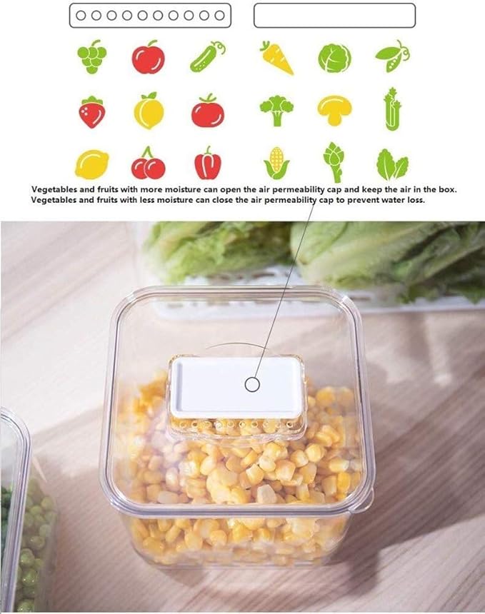 SANNO Vegetable Refrigerator Organizer Food Bins with lids Produce Saver Containers for Refrigerator, Food Fruit Vegetables s