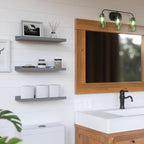 RICHER HOUSE 3 Set Floating Shelves for Wall, 16 inches Wall Mounted Shelves with Lip for Storage, Display Picture Ledge Shel