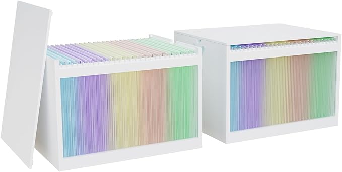 Bamboo Hanging File Boxes with Lids 2 Pack, File Organizer Box for Letter/Legal File, File Box with Hanging Folders Acrylic L