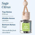 C&E Craft Co Hanging Car Air Freshener Diffuser 2 Pack, Long Lasting Fragrance Oil Car Freshener, Glass Bottle Auto Air Fresh