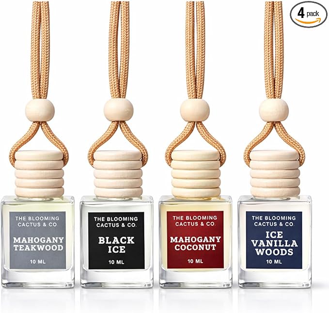 4 Pack Air fresheners | Long lasting car air fresheners, Hand-made in USA | Small room diffuser | Small Business Woman Owned.
