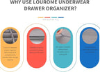 Lourome Underwear Organizer, 5 Set Foldable Fabric Underwear Drawer Organizer and Sock Organizer, Drawer Organizers for Cloth