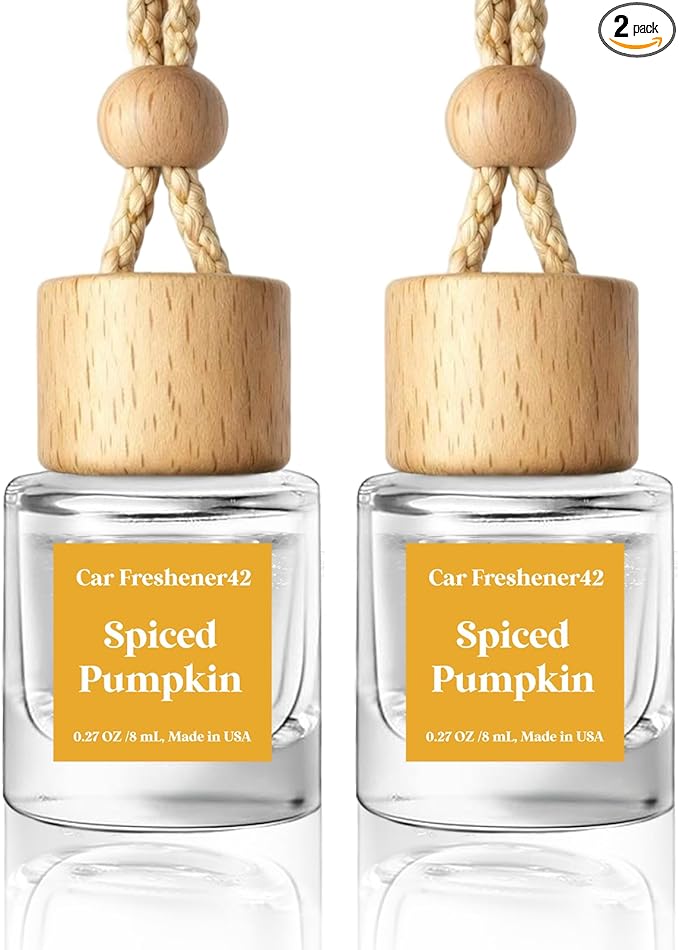 HoogaLife Car Air Freshener Diffuser 2 Pack Hanging Spiced Pumpkin Car Air Freshener for Women 45+ days Long Lasting Fragranc