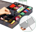 Gbivbe Large 24 Grids Plastic Organizer Box Adjustable Dividers,Clear Storage Box for Jewelry, Art DIY Crafts, Washi Tapes, B