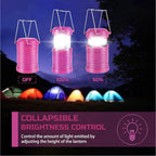 Lichamp LED Camping Lantern, 4 Pack Battery Powered Flashlight for Power Outages, Portable Collapsible Hanging Light Essentia