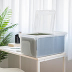 IRIS USA File Box, File Organizer w/Hinged Split Lid for Letter File, Important Document Box, Plastic Storage Filing Bin for 