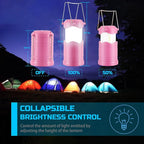 Lichamp LED Camping Lantern, 4 Pack Battery Powered Flashlight for Power Outages, Portable Collapsible Hanging Light Essentia