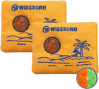 100gx2pcs Rechargeable Desiccant Packs for Storage, Color Indicating Silica Gel Packets Moisture Absorbers with Visible
