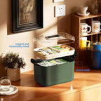 2 Tiers Medicine Organizer - Portable Medicine Storage Box with Handle, Large Capacity Plastic Medical Cabinet, Multipurpose 