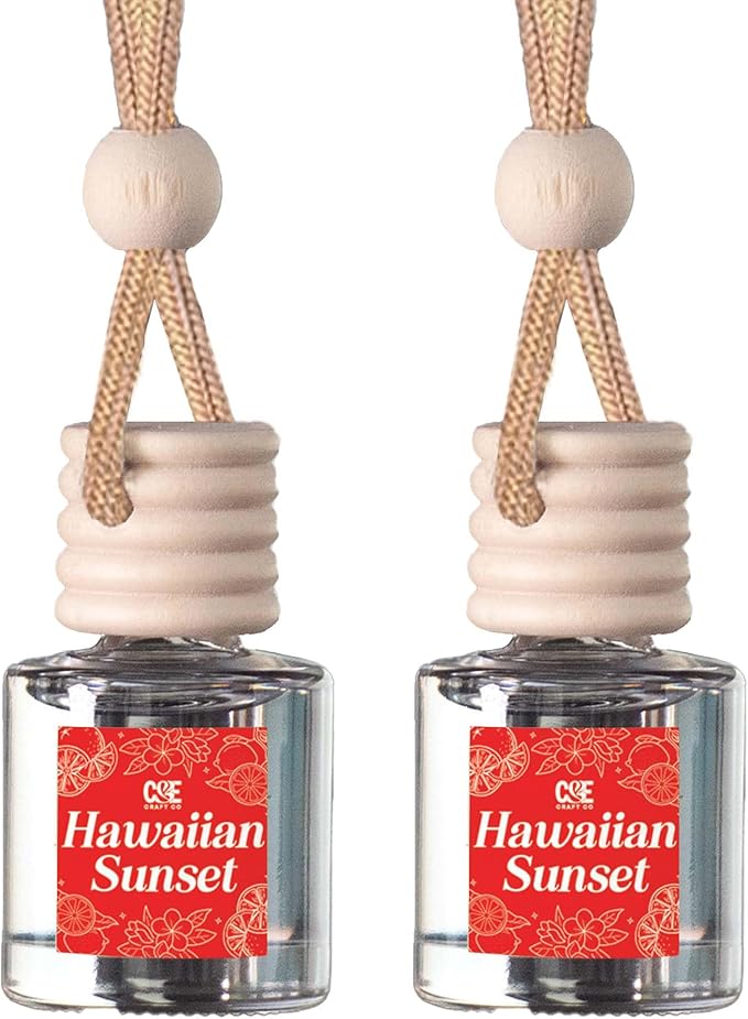 CANDECraftCo Car Air Hanging Fragrance Oil, Car Auto Freshener for Essential Oils, Scents Fragrance Aromatherapy Automobile D