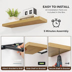 Dreamland 20 Inches Floating Shelves for Wall, 6.7 Inch Deep Floating Shelves Set of 2, Large Display & Storage Shelf, Wall S
