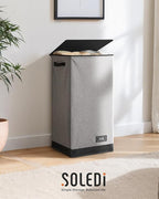 SOLEDI Slim Laundry Hamper with Lid, Narrow Laundry Basket with Removable Bags, Dirty Clothes Hamper with handle, Small Hampe