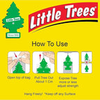 LITTLE TREES Car Air Freshener | Hanging Paper Tree for Home or Car | Coconut | 12 Pack (Packaging May Vary)