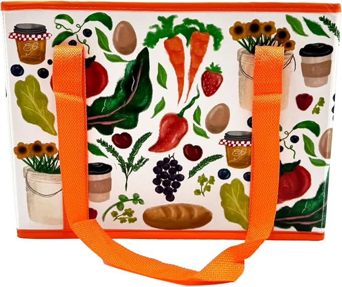 Earthwise Deluxe Collapsible Reusable Shopping Box Grocery Bag Set with Reinforced Bottom Bins Cubes (Set of 3)