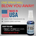 Scent Bomb Air Freshener Spray, Long-Lasting Odor Eliminator - Effective Deodorizer for Home & Car, Fresh Room Spray for Kitc