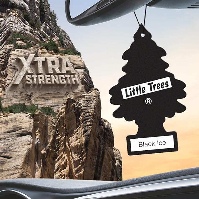 LITTLE TREES Car Air Freshener | Xtra Strength Provides Long-Lasting Scent for Auto or Home | Extra Boost of Fragrance | Blac