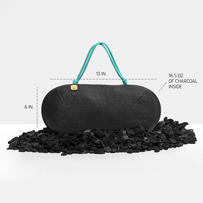 Car Air Freshener - Lasts 365+ Days - No Chemicals - 100% Activated Bamboo Charcoal - No Fragrance Deodorizer, Auto Odor Elim