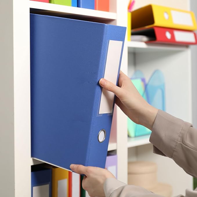 M&G File Organizer Box, Blue A4 Plastic Storage File Boxes File Folder Document Boxes Cabinet Archives Cases Boxes with Lid f
