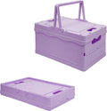 Tixill Small Collapsible Storage Crates, Foldable Plastic Baskets with Lids and Handles for Organizing, Mini Stackable Bins f