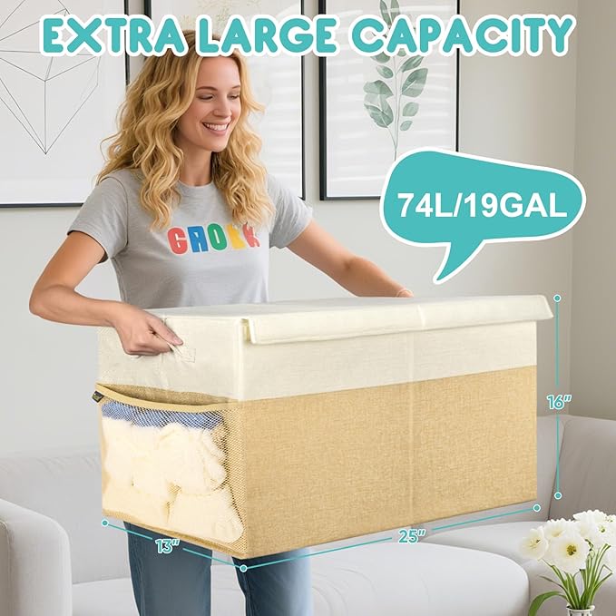 BALEINE Fabric Storage Bins with Lid, Collapsible Extra Large Storage Boxes Bins Baskets with Divider for Home Organizing (25