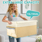BALEINE Fabric Storage Bins with Lid, Collapsible Extra Large Storage Boxes Bins Baskets with Divider for Home Organizing (25