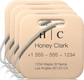 Stainless Luggage Tags for Suitcases 4 Pack: Metal Personalized Luggage Tags for Backpacks & Bags with Customizable Texts (Ro