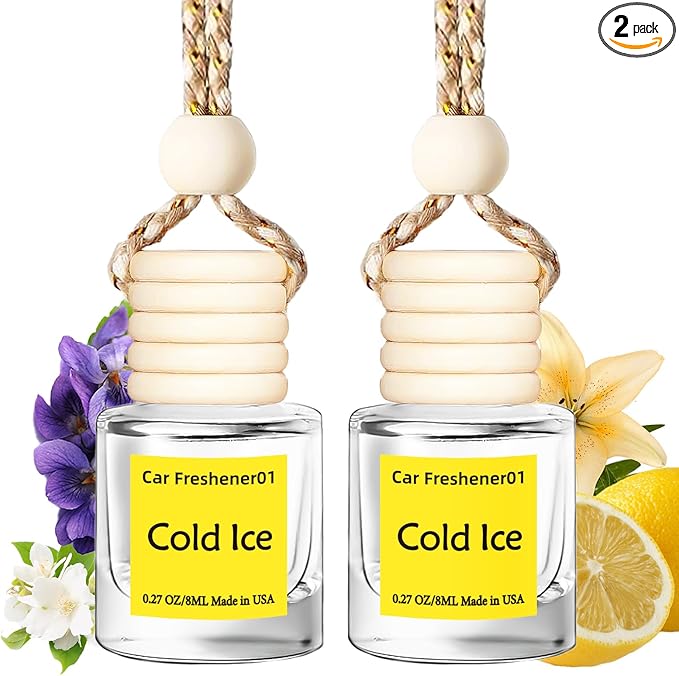 Hanging Car Air Freshener, Long Lasting Scent, Cute Air Fresheners for Women, 2 Pack Non-Toxic Essential Oil Diffuser, Made i