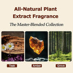 Car Air Freshener - Wood Air Freshener, Car Odor Absorber & Purifier, All Natural Plant Essential Oils,Long Lasting Scent, Pa