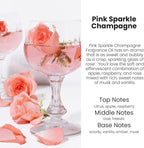 HoogaLife Car Air Freshener Diffuser 2 Pack Hanging Air Freshener Diffuser - Pink Sparkle Champagne Fragrance Oil Air Diffuse