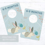 Woodland Closet Clothing Size Dividers / 4" x 6" Closet Organizers for Newborn Baby to 4T Clothes / 10 Forest Animal Baby Clo