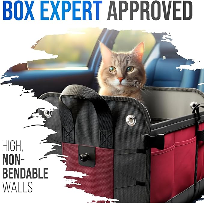 Car Trunk Organizer - Large Collapsible Storage Box with Adjustable Compartments - Heavy-Duty Cargo Organizer for SUV, Truck &