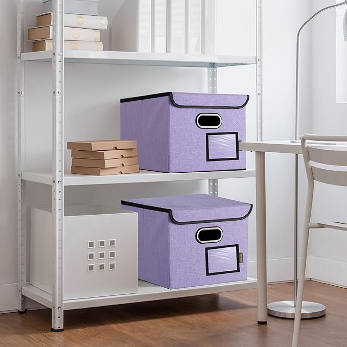 BALEINE File Organizer Box with Lid, Collapsible File Folder Organizer with Plastic Slide, Hanging File Folder Box for Office