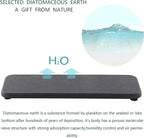 NiuYichee 2 Pcs Water Absorbing Stone Trays, Kitchen/Bathroom Sink Soap Dish, Diatomite Tray Used for Hand Soap & Cosmetic Bo